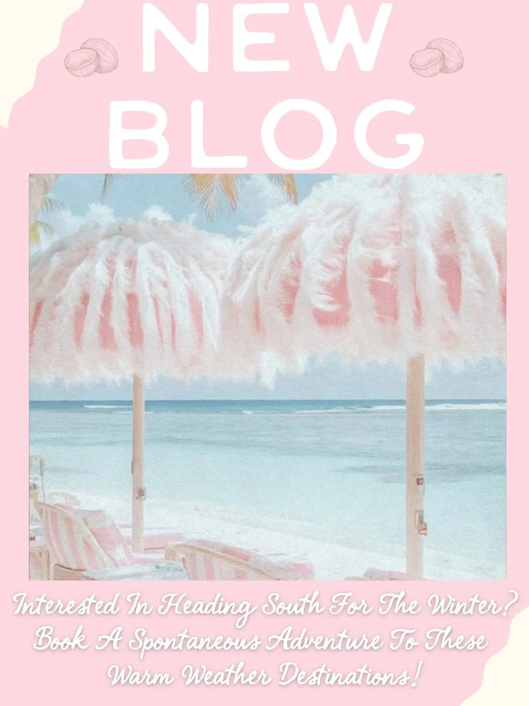 The Chatty Coconut Blog shares tropical travel outfits, packing tips, and coastal getaway fashion.