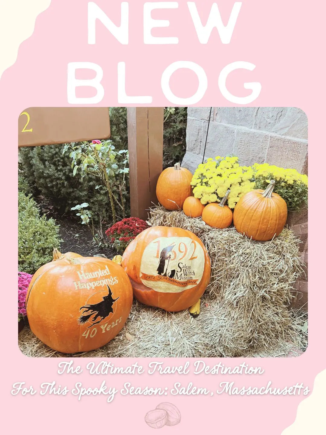 The Chatty Coconut Blog shares tropical travel outfits, packing tips, and coastal getaway fashion.