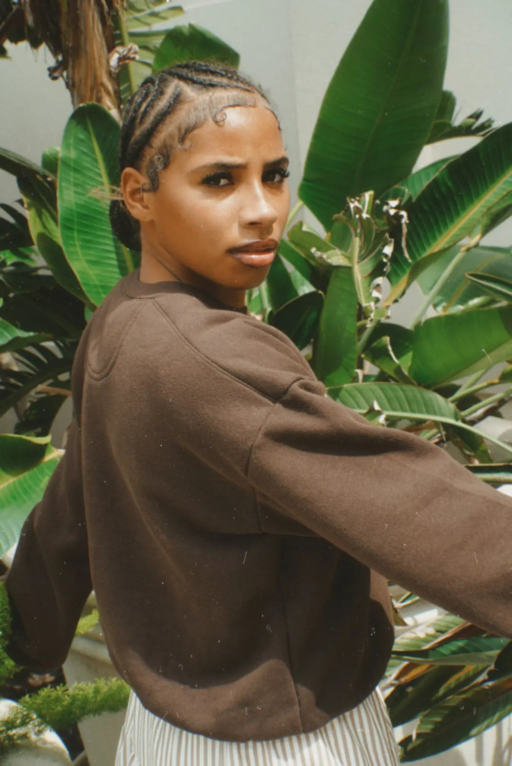 Free Coconut Oversized Crewneck Sweatshirt – Cocoa Brown Limited Edition